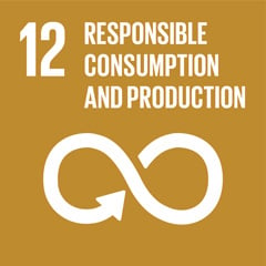 TheGlobalGoals_Icons_Color_Goal_12-240x240.jpg